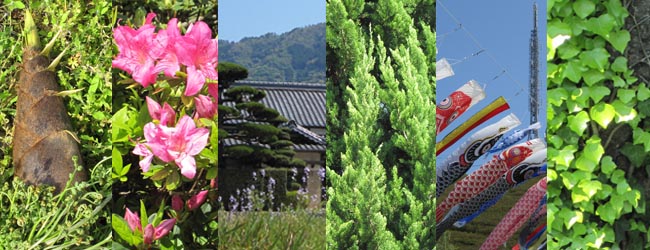 10年5月8日